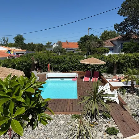 Villa Maison 8/10 Pers / Piscine Chauffee / St Palais Sur *